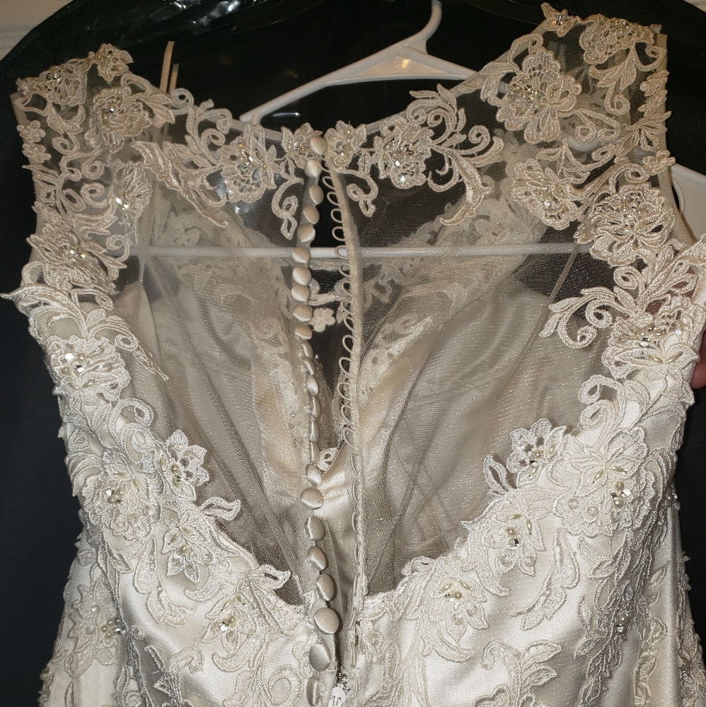 Size 22 mermaid wedding dress - Picture 3 of 8
